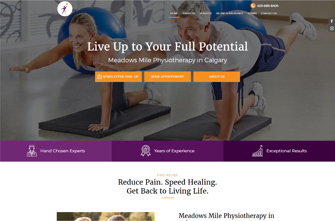 Meadows Mile Physiotherapy Website Design Example