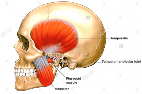 Temporomandibular disorders (TMJ) and physical therapy
