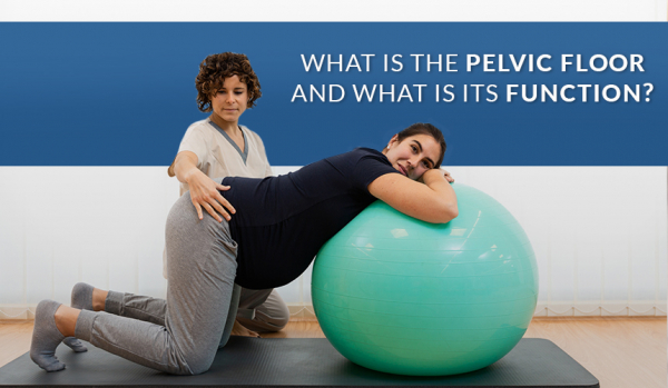 What is the pelvic floor and what is its function?