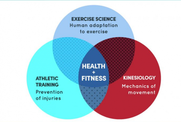Kinesiologist vs. Athletic Therapist: What's the Difference?