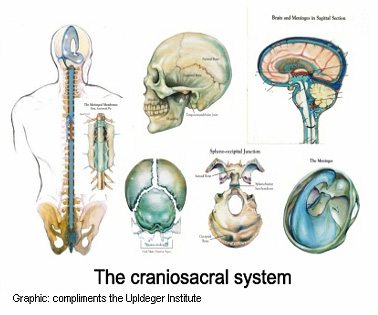 Can Craniosacral Therapy Help Me?