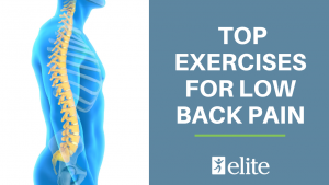 Top Exercise For Low Back Pain